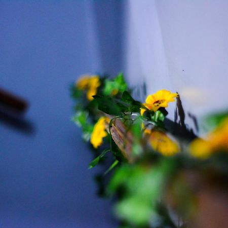 O Viajante Av Paulista Hostel Sao Paulo Bagian luar foto